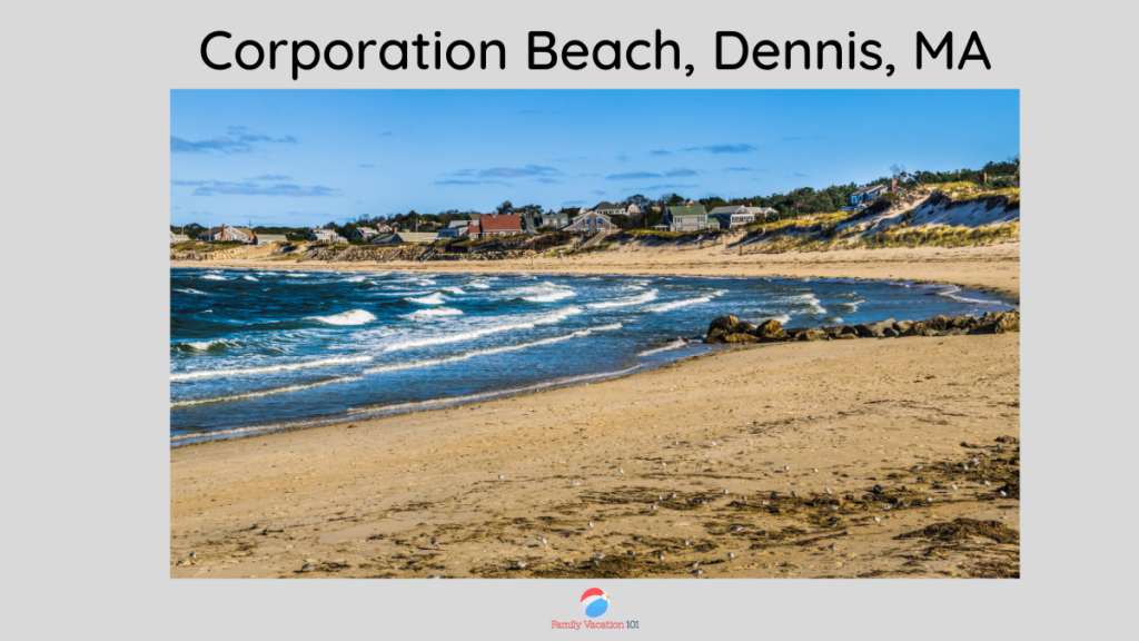 Corporation Beach, Cape Cod