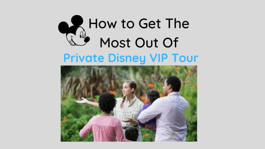 how to get the most out of your private disney tour