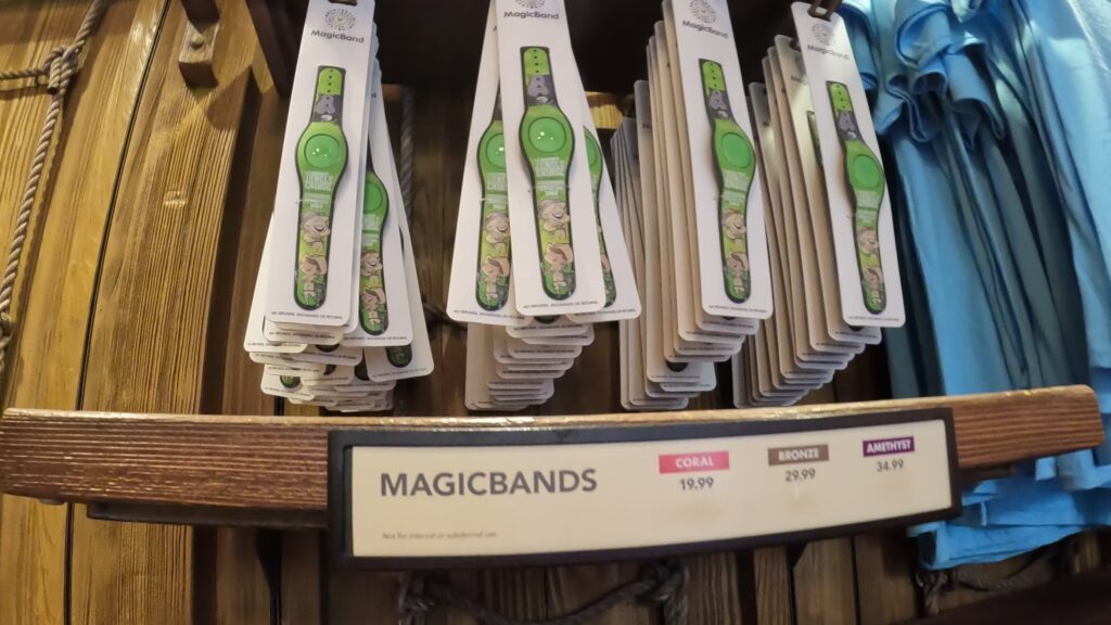 Disney Magic Band
