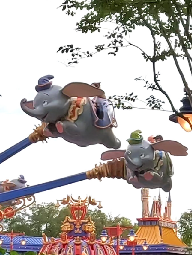 Dumbo Disney World